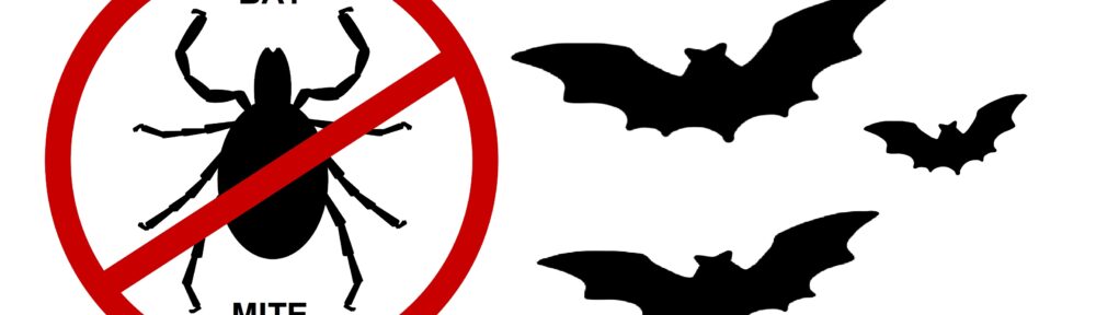 Bat Removal Service Indianapolis IN 317-535-4605