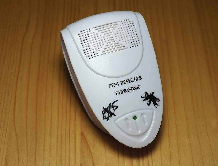 Call 317-535-4605 When You Need Professional Bat Exclusion in Indianapolis Indiana